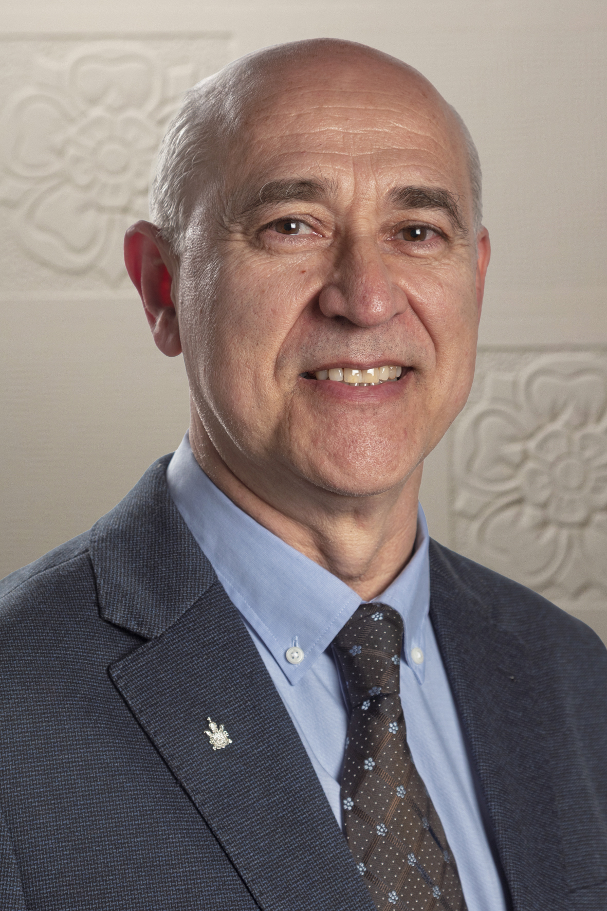 Foto oficial Francisco Luís Tiñena Beseran