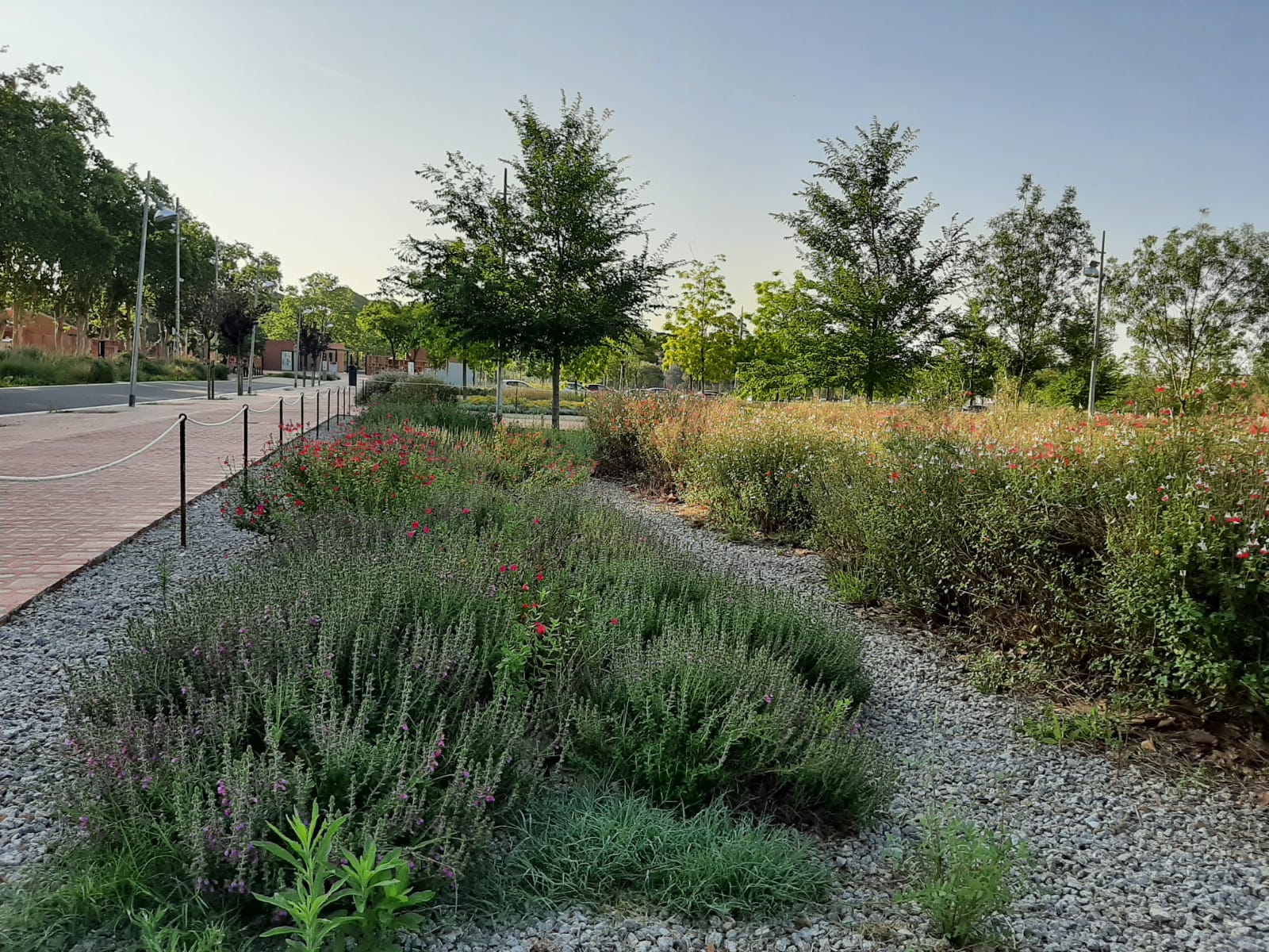 Parc de les Olors